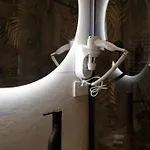 Dama Pensiune Bari